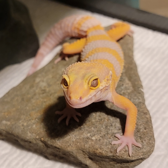 Too shy to make an offer? - Picture 8 of 10